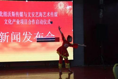 文安女士爆料新闻,揭秘娱乐圈惊人内幕 第2张 文安女士爆料新闻,揭秘娱乐圈惊人内幕 第2张